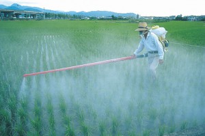agriculture-and-pesticides